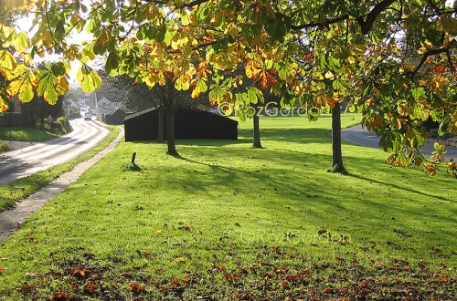 Westleton Green © Roz Gordon