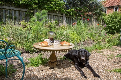 Dogs welcomed at many cottages