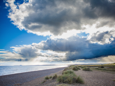 Properties On The Coast