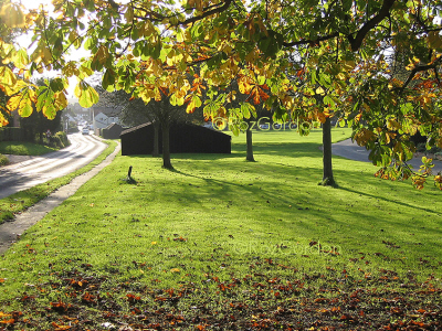 Autumn on the Suffolk Coast CTA